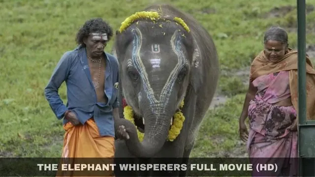 The Elephant whisperers movie download movierulz